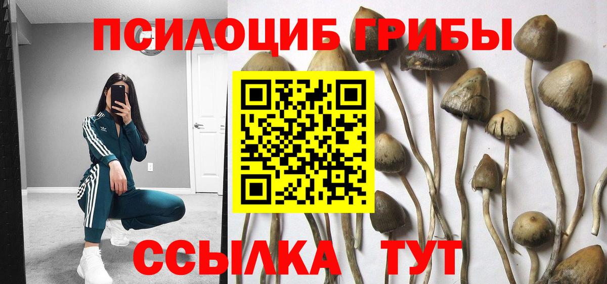 Галлюциногенные грибы ЛСД  где можно купить наркотик  Астрахань  Вход с VPN 