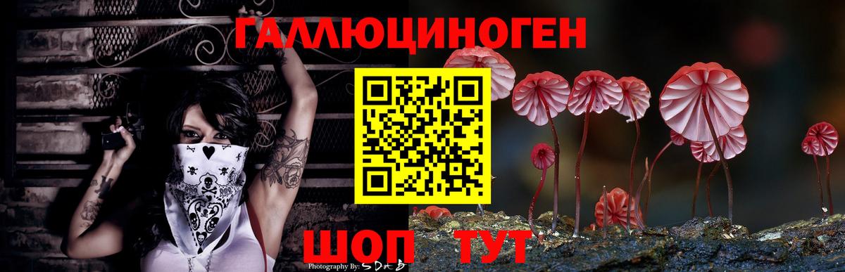 Галлюциногенные грибы MAGIC MUSHROOMS Астрахань
